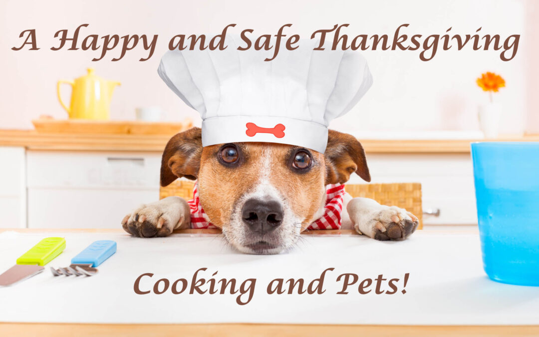 A Happy and Safe Thanksgiving Blog - 1